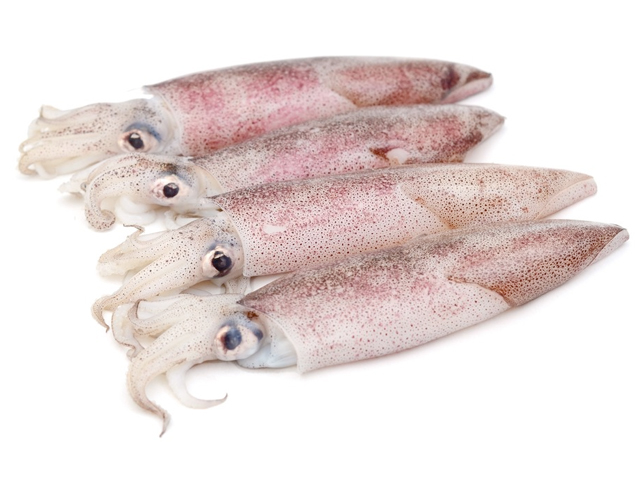 marenostrum pescheria vendita pesce fresco brescia calamari atlantico